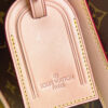 Louis Vuitton Dog Bag