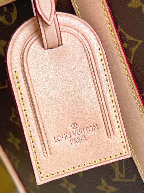 Louis Vuitton Dog Bag