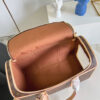 Louis Vuitton Dog Bag