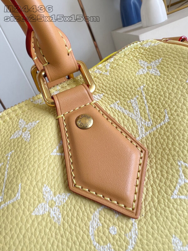 Louis Vuitton Speedy P9 Bandoulière 25 Bag