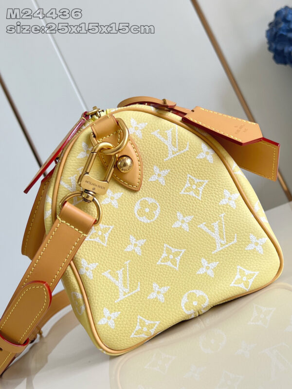 Louis Vuitton Speedy P9 Bandoulière 25 Bag