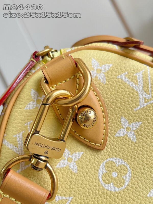 Louis Vuitton Speedy P9 Bandoulière 25 Bag