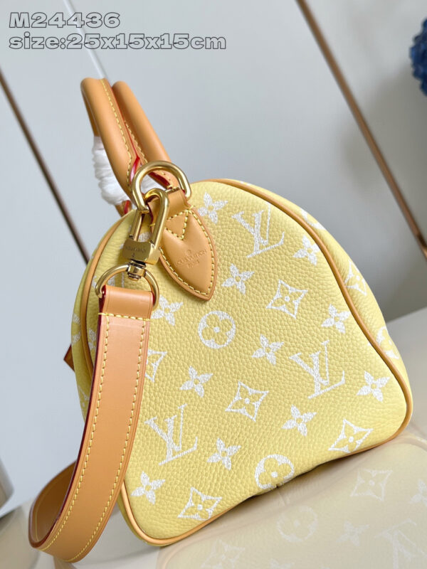 Louis Vuitton Speedy P9 Bandoulière 25 Bag