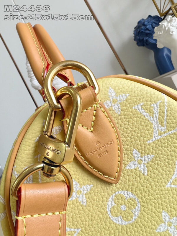 Louis Vuitton Speedy P9 Bandoulière 25 Bag