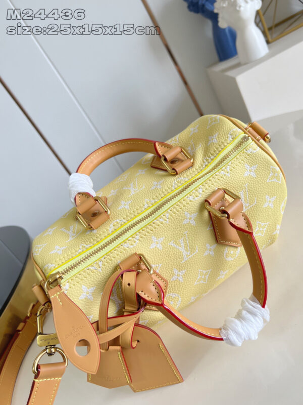 Louis Vuitton Speedy P9 Bandoulière 25 Bag