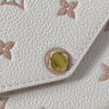 Louis Vuitton Félicie Pochette Bag