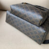Celine Backpack