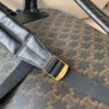 Celine Backpack