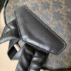 Celine Backpack