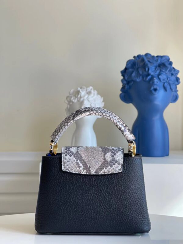 Louis Vuitton Capucines Mini