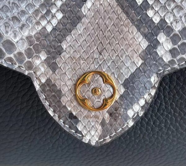 Louis Vuitton Capucines Mini