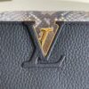 Louis Vuitton Capucines Mini