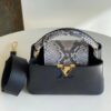 Louis Vuitton Capucines Mini