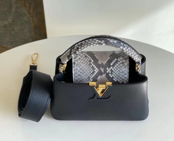 Louis Vuitton Capucines Mini