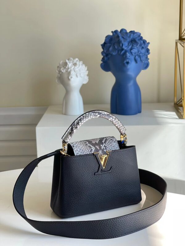 Louis Vuitton Capucines Mini