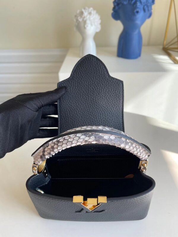 Louis Vuitton Capucines Mini