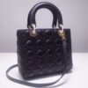 Lady Dior