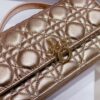 Mini Miss Dior Bag