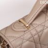 Mini Miss Dior Bag