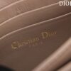 Mini Miss Dior Bag