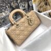 Dior Lady D-Joy Bag Medium
