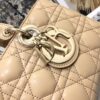 Dior Lady D-Joy Bag Medium