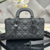 Dior Lady D-Joy Bag Medium