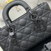 Dior Lady D-Joy Bag Medium