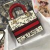 Dior Medium Lady D-Lite bag