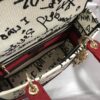 Dior Medium Lady D-Lite bag