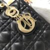 MEDIUM LADY DIOR BAG