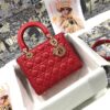 MEDIUM LADY DIOR BAG