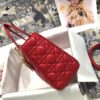 MEDIUM LADY DIOR BAG