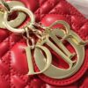 MEDIUM LADY DIOR BAG