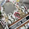 Dior Medium Lady D-Lite bag