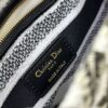 Dior Medium Lady D-Lite bag