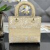 Dior Medium Lady D-Lite bag