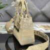 Dior Medium Lady D-Lite bag
