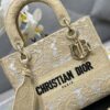 Dior Medium Lady D-Lite bag