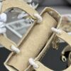 Dior Medium Lady D-Lite bag