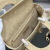 Dior Medium Lady D-Lite bag