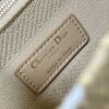 Dior Medium Lady D-Lite bag