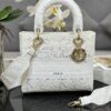 Dior Medium Lady D-Lite bag