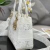 Dior Medium Lady D-Lite bag