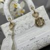 Dior Medium Lady D-Lite bag