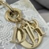 Dior Medium Lady D-Lite bag