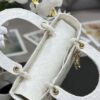 Dior Medium Lady D-Lite bag