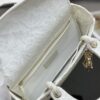 Dior Medium Lady D-Lite bag