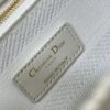 Dior Medium Lady D-Lite bag
