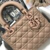 MEDIUM LADY DIOR BAG